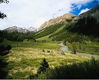 卡普空注册《恐龙危机》新商标 经典IP或复活再现曙光！