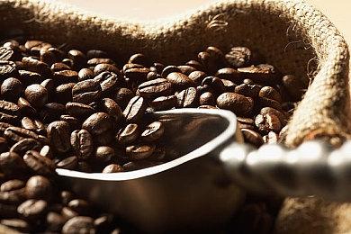 侠客再扬帆————《我的侠客》登陆Steam平台