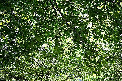 打脸了？《荒野大镖客：救赎》已是英国最畅销的PS4游戏