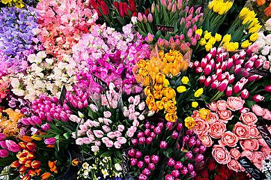 自称《GTA6》测试者透露新情报：游戏世界逼真生动